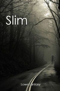 Slim cover